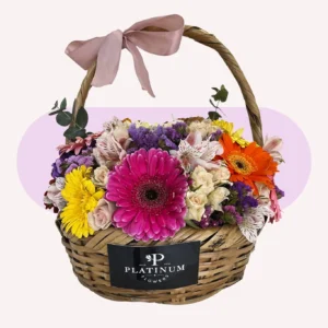 Canasta 10 gerberas, mini rosa, astromelia, leticia y dolar
