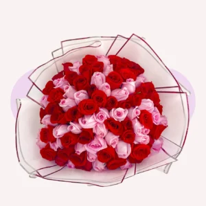 100 Rosas Combinadas
