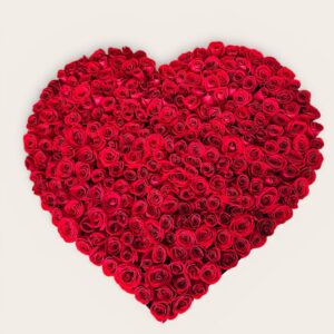 Caja Corazón Gigante de 250 Rosas Rojas