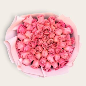 50 Rosas Rosas