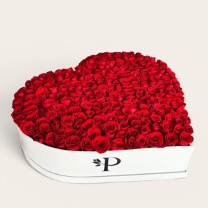 Caja Corazón Gigante de 250 Rosas Rojas