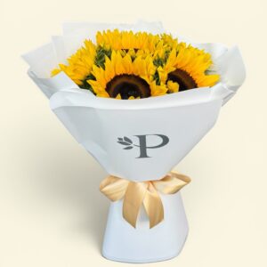 7 Girasoles