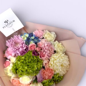 Mix Hortensias
